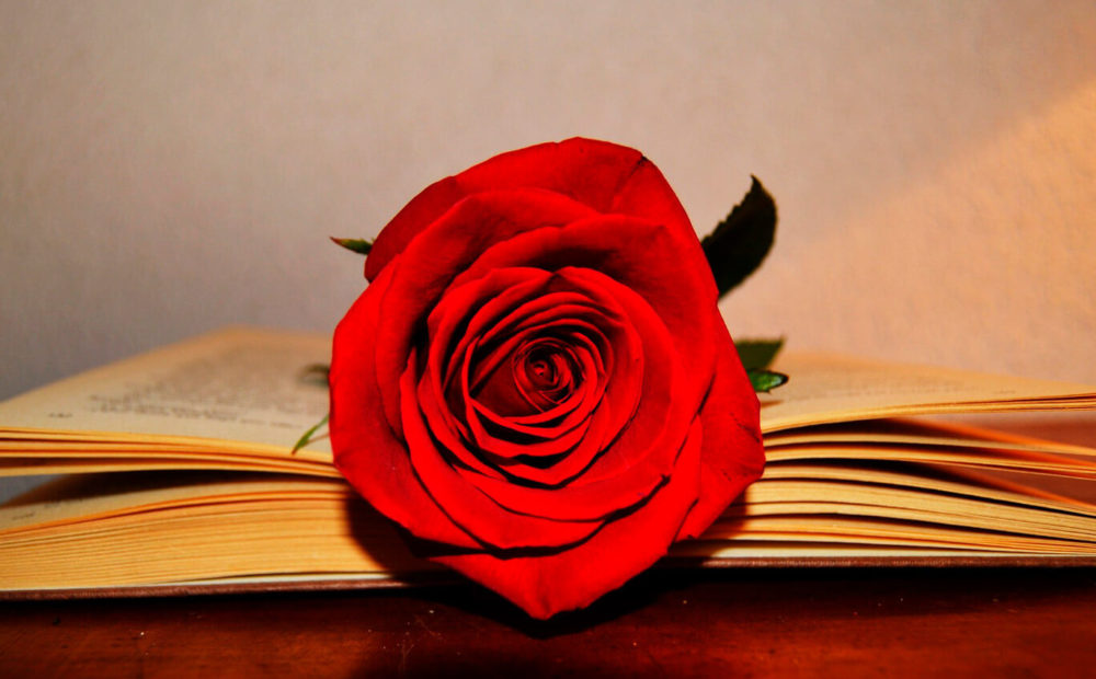 sant jordi in barcelona