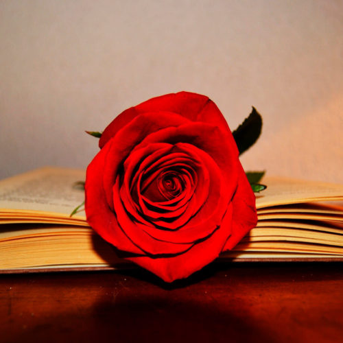 sant jordi in barcelona