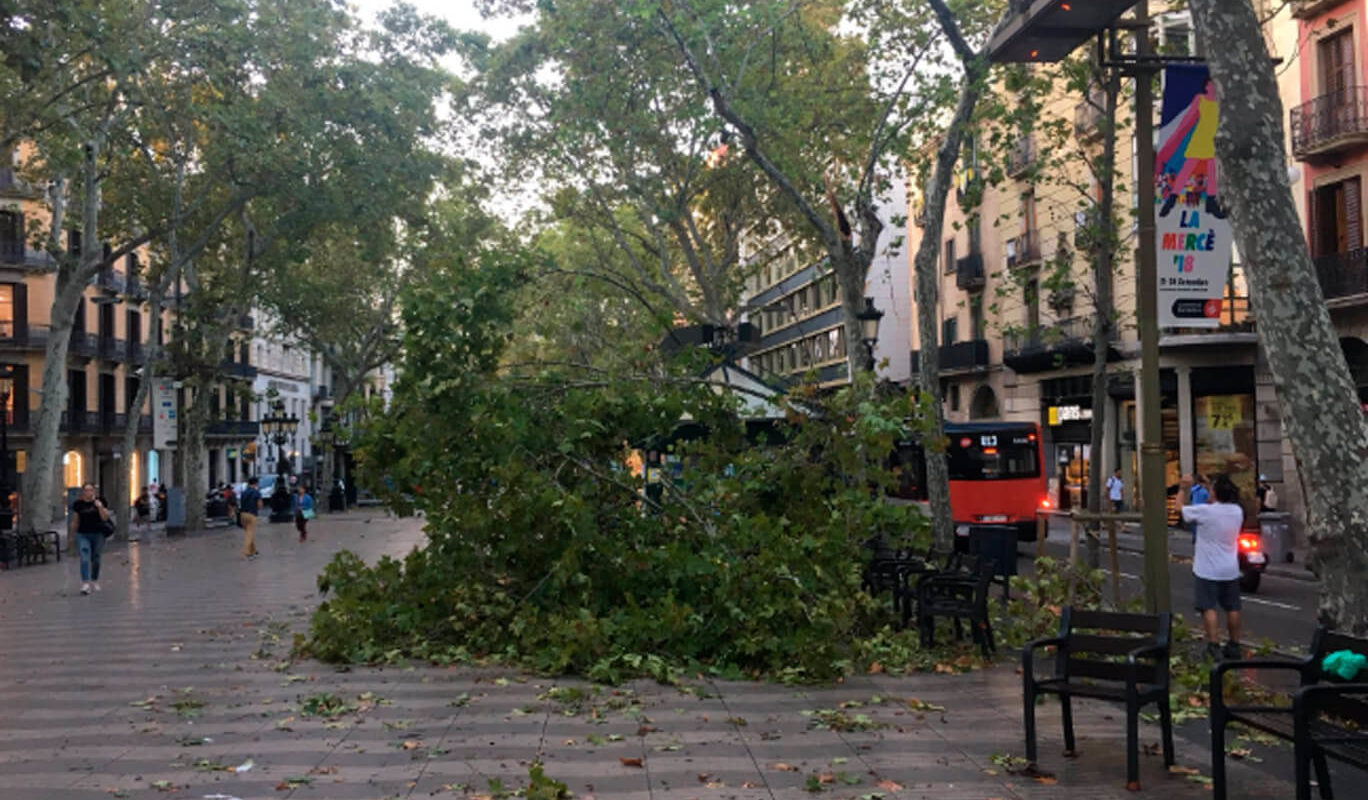 tormenta de barcelona