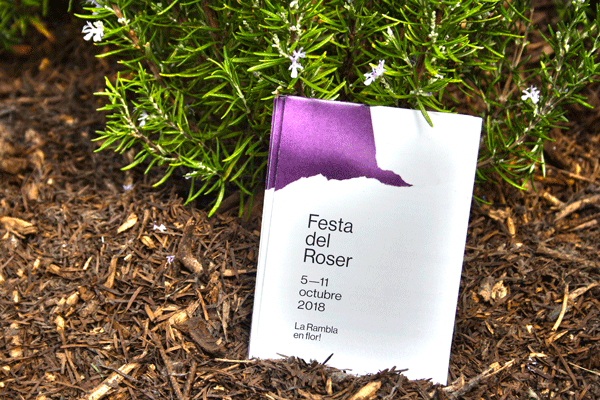 festa del roser